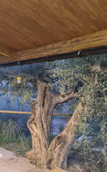 Casaruibella Villa Moratalla  Luaran gambar