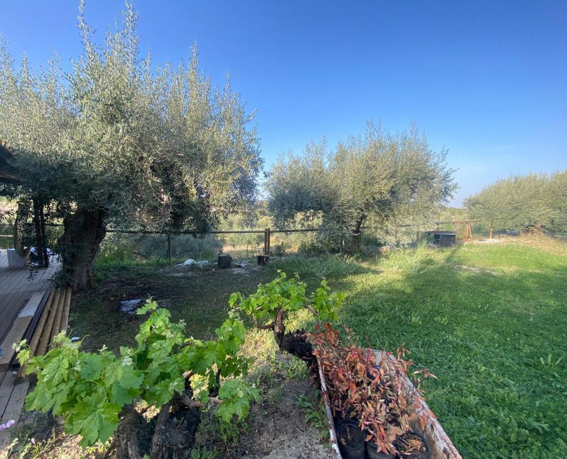 Casaruibella Villa Moratalla  Luaran gambar